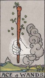 ace of wands